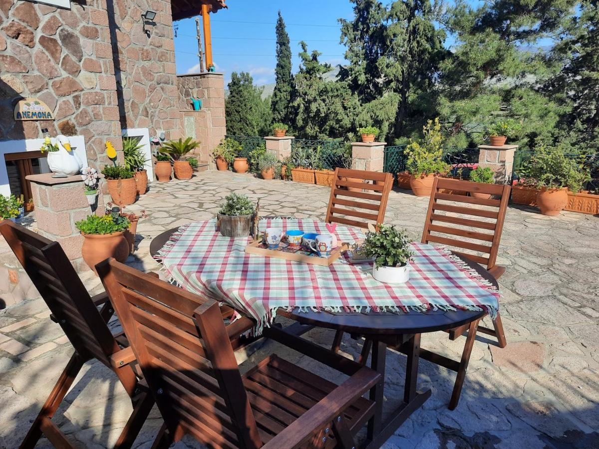Appartement Anemona