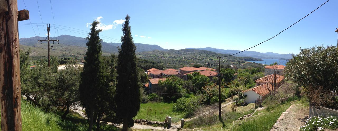 Appartement Anemona *